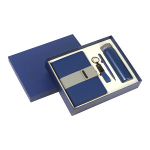 SET EJECUTIVO TORI